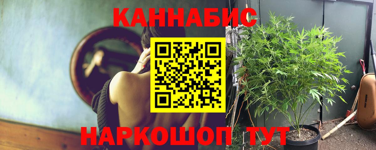 Бошки Шишки сатива Краснодар